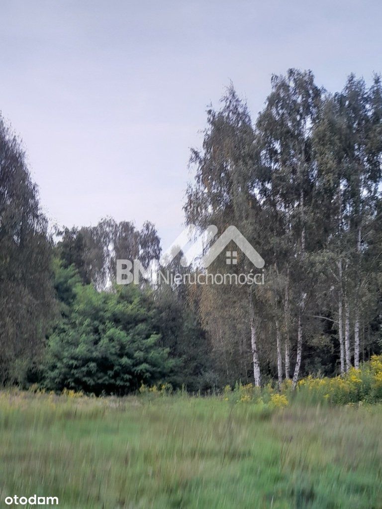 Działka dla dewelopera w Czarnym Lesie