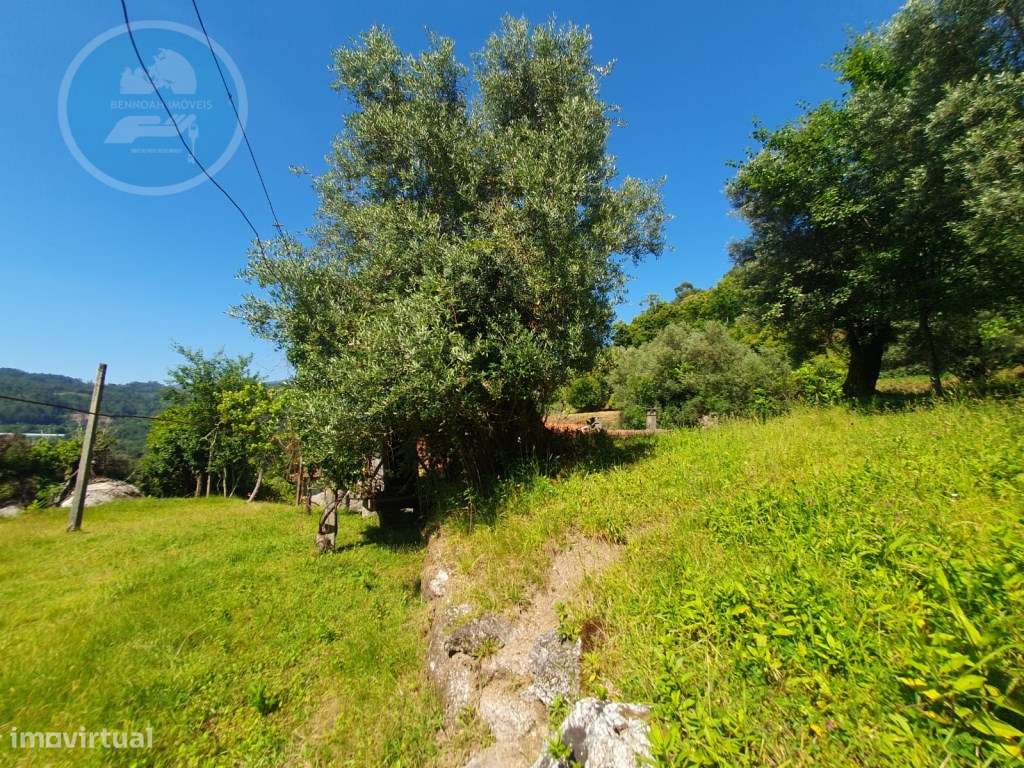 Quinta à venda para restauro em Arroteia freguesia de Rossas-43