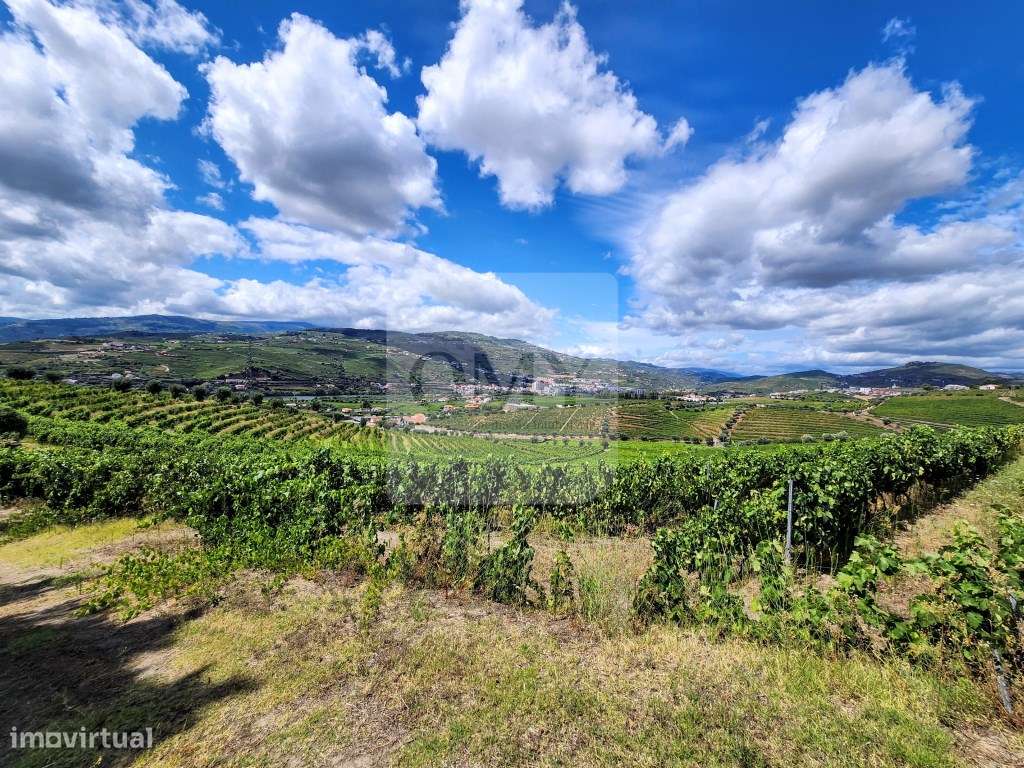 Quinta Vinícola com PIP em Apreciação para Boutique Hotel - Grande imagem: 5/18