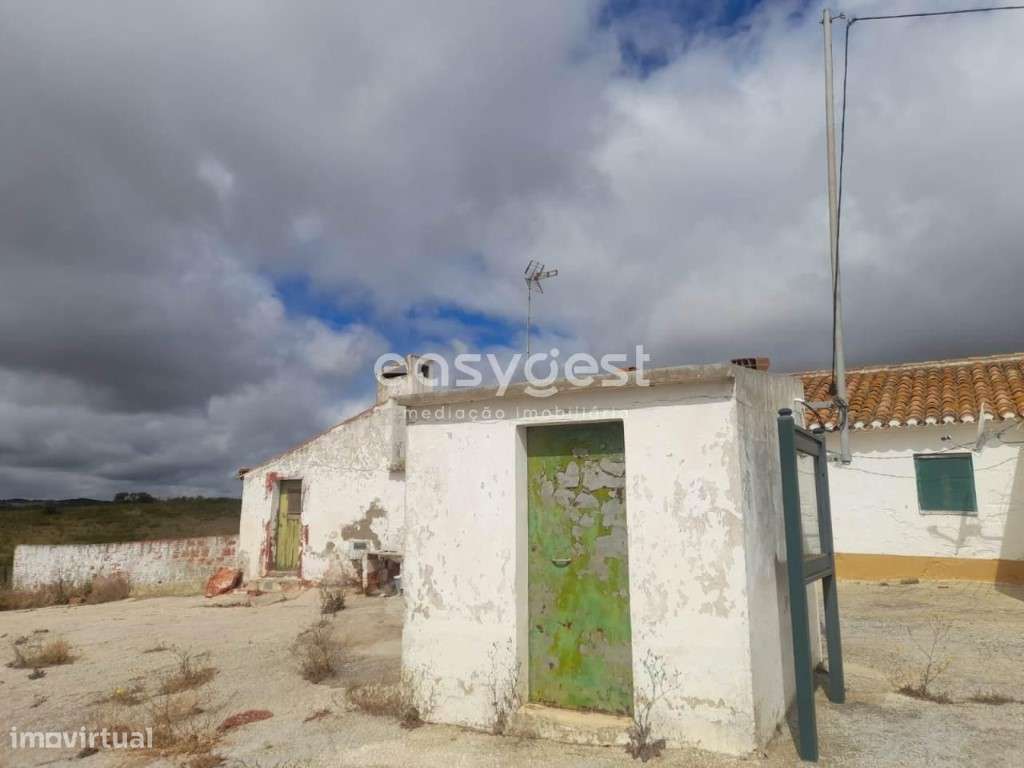 Monte para recuperar localizado na freguesia de Martim Longo - Grande imagem: 2/46