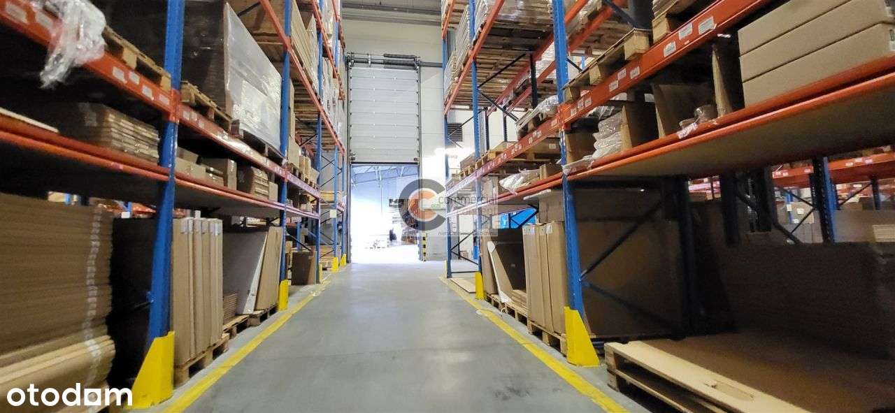 Hala magazynowo-produkcyjna z placem składowym - Pełny obrazek: 4/6
