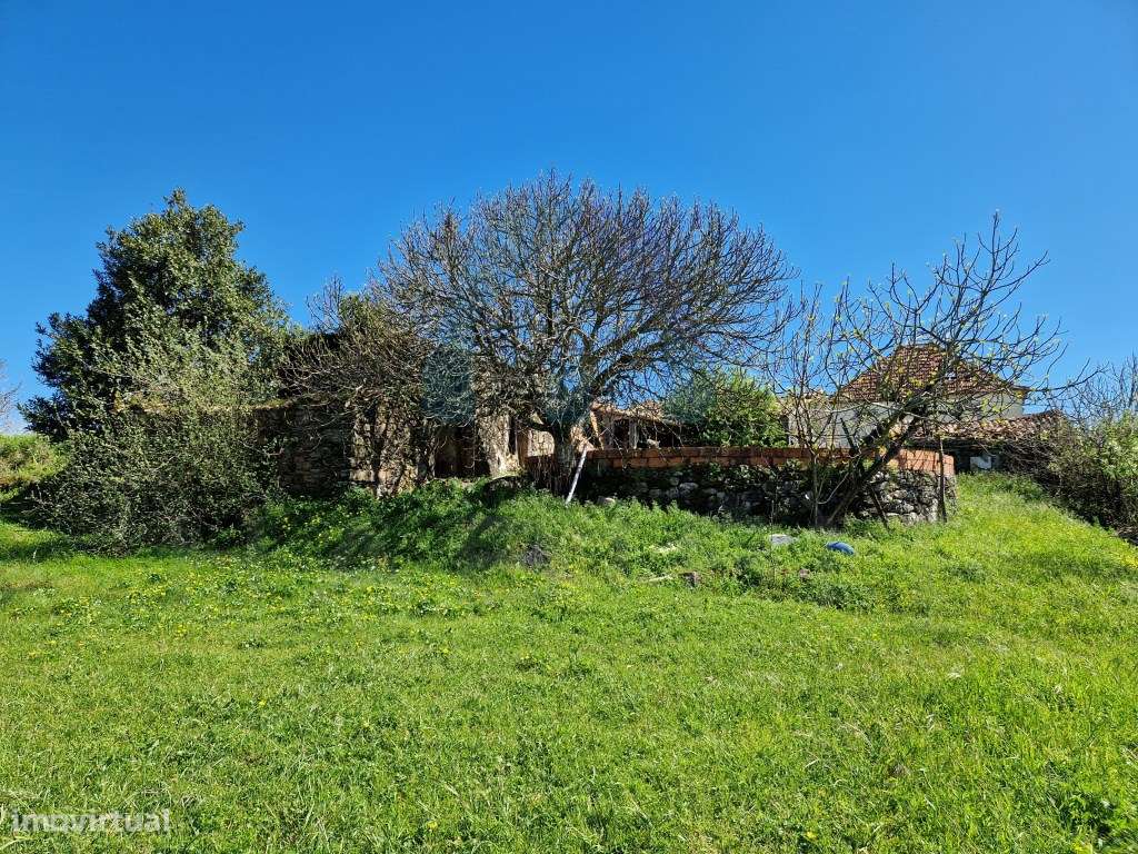 Ruína em Pedra e Terrenos com Viabilidade de Construção - Pombal-11