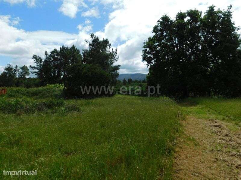 Terreno / Seia, Carragozela e Várzea de Meruge - Grande imagem: 4/6