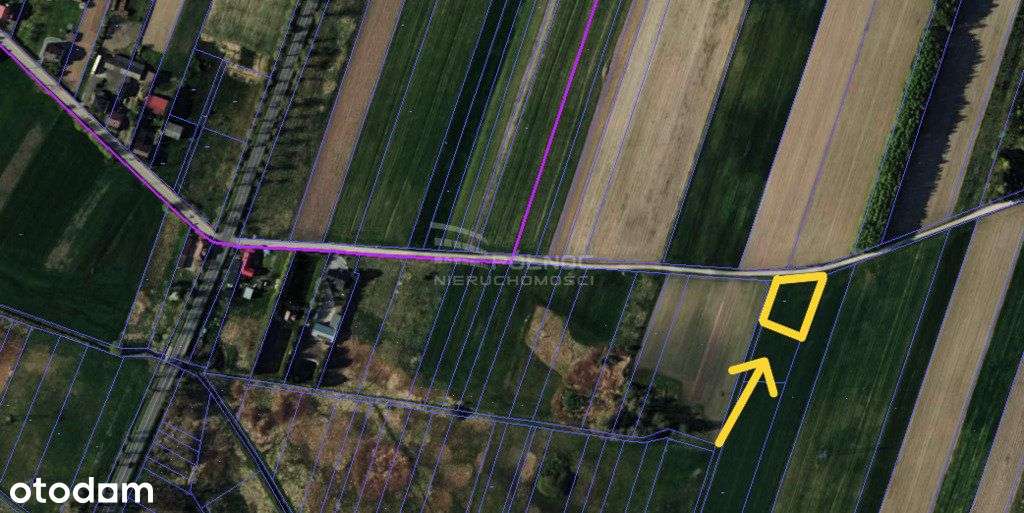 Kamieńsk – działka pod zabudowę jednorodzinną - Pełny obrazek: 2/2