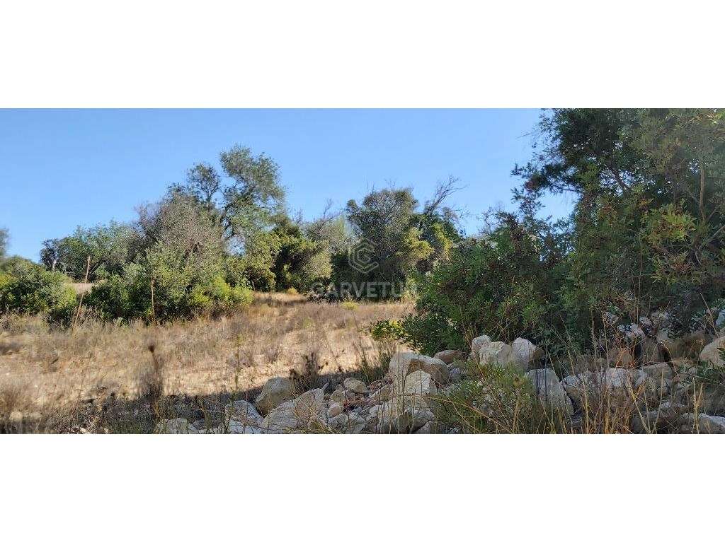 Terreno agrícola, várias culturas, Paderne, Albufeira, Algarve - Grande imagem: 4/15