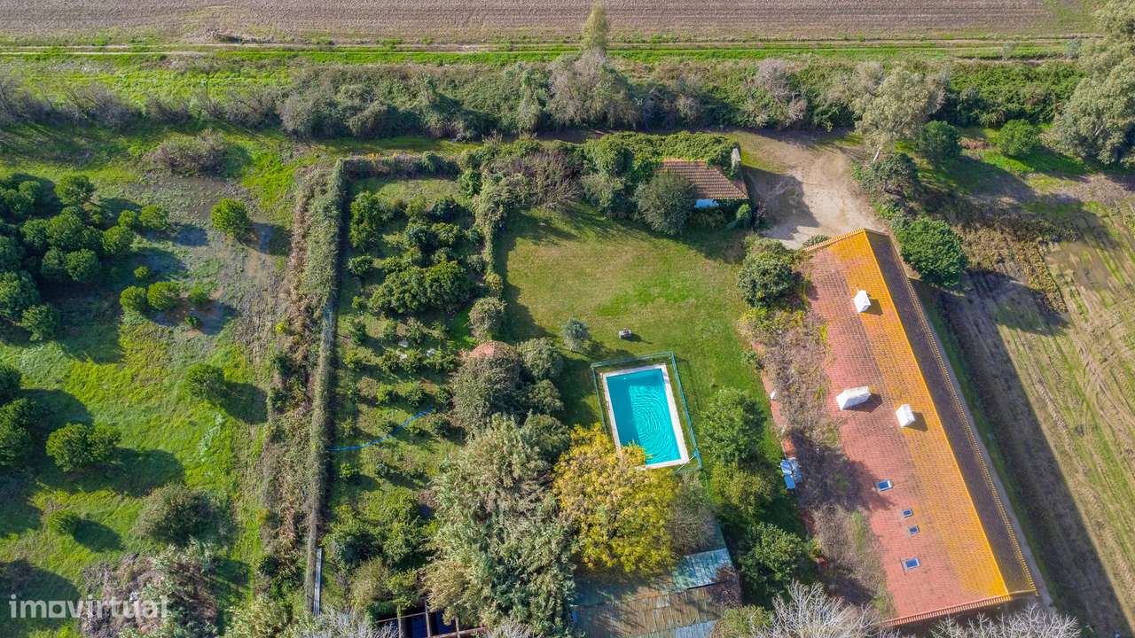 Quinta Olival das Moitas - Benfica do Ribatejo - Grande imagem: 5/47