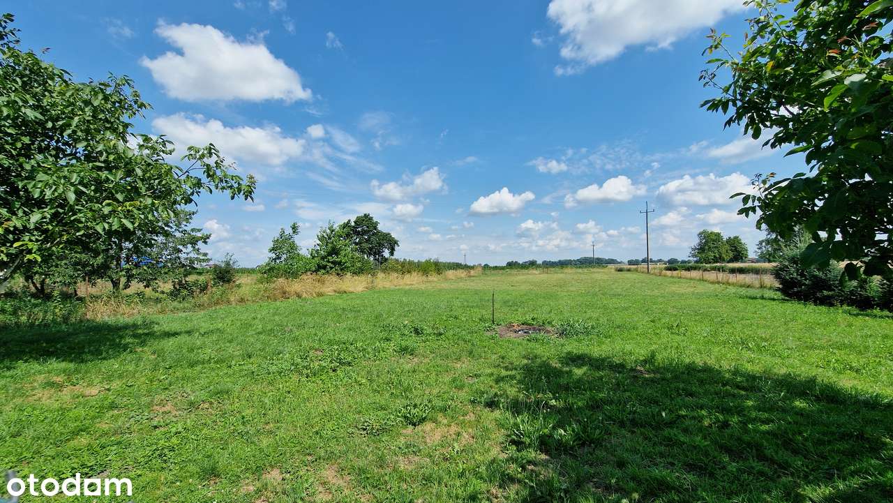 DOM JEDNORODZINNY Z DUŻĄ DZIAŁKĄ I STAWEM – MAŁYSZYN, GM. WIELUŃ-18