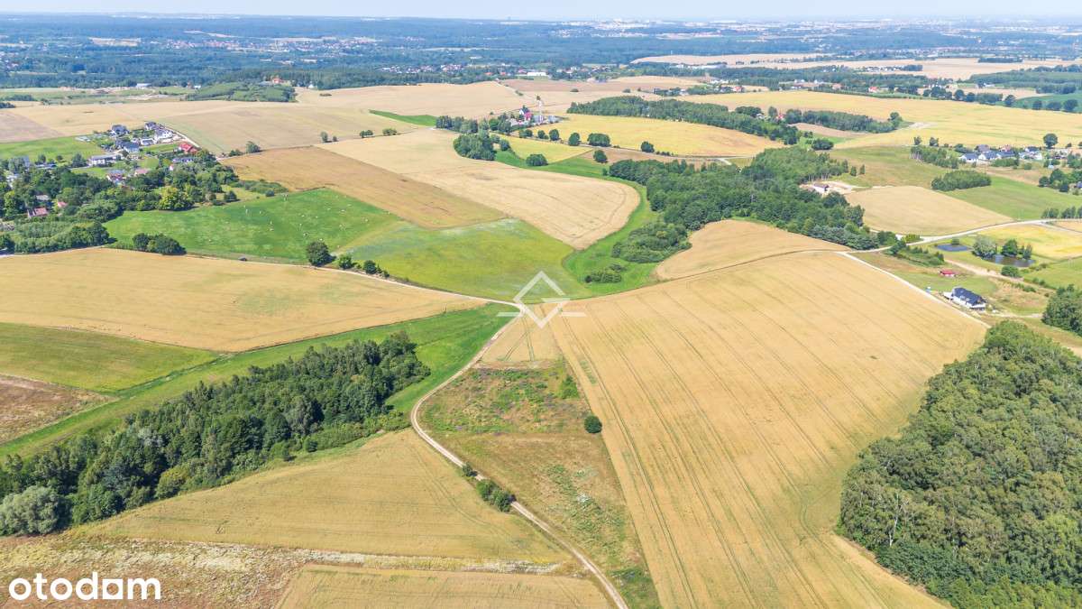 Działki budowlane | 17 km od Gdańska | Kaszuby - Pełny obrazek: 4/10