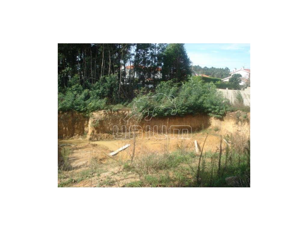 Lote Carreço - Grande imagem: 2/2