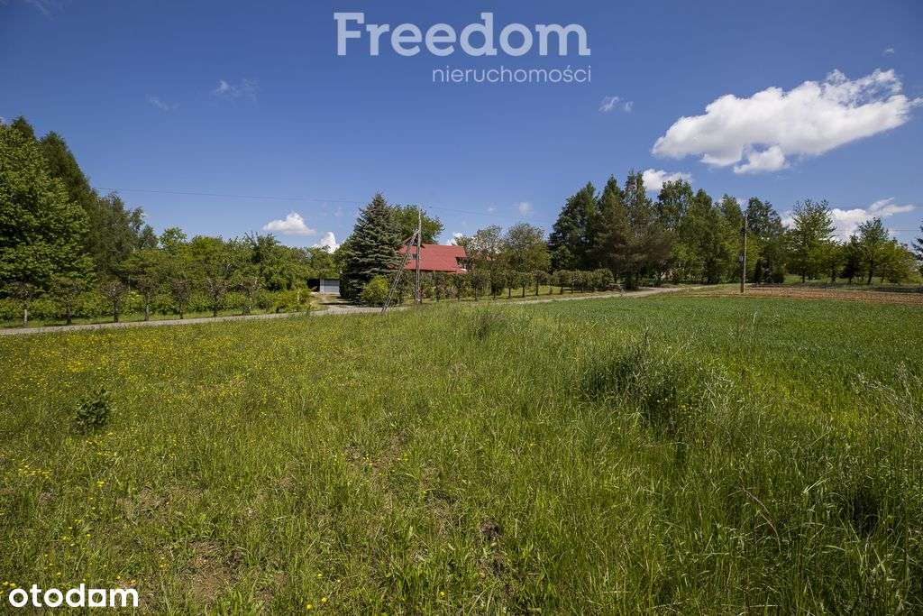 Działka z warunkami zabudowy Chmielnik-6