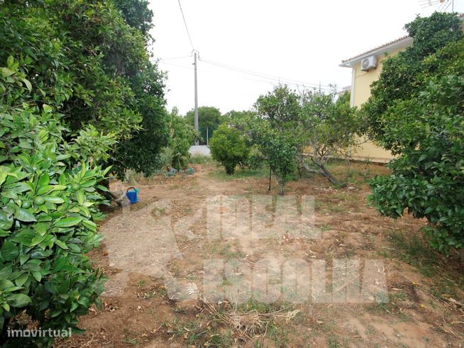MORADIA V4 ALVOR 1200 000€-45
