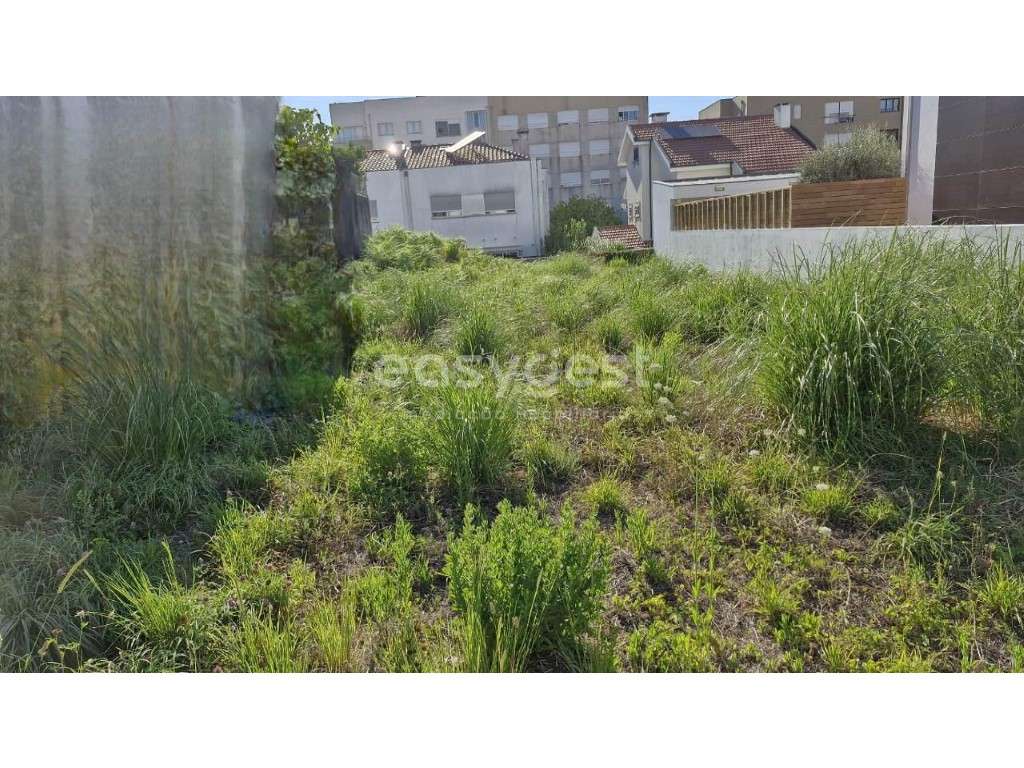 Excelente Terreno para Construção, na Zona Verde de S. Mamede - Grande imagem: 4/10