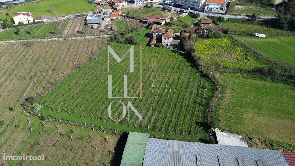 Quinta do Loureiro: Uma Casa Solar Histórica e Elegante em Lousada-38