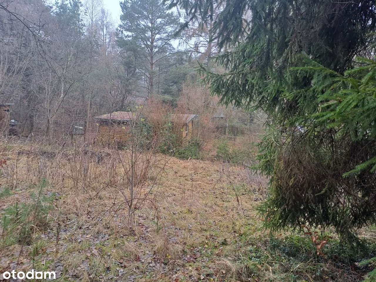 Działka budowlana w Zofiówce, idealna na wypoczynek blisko Łodzi-5