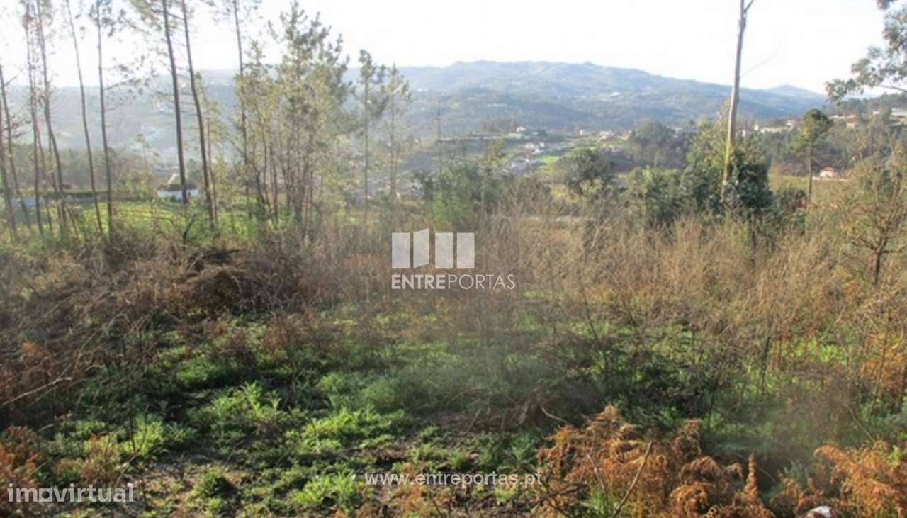 Venda Terreno, Constance, Marco de Canaveses - Grande imagem: 5/6