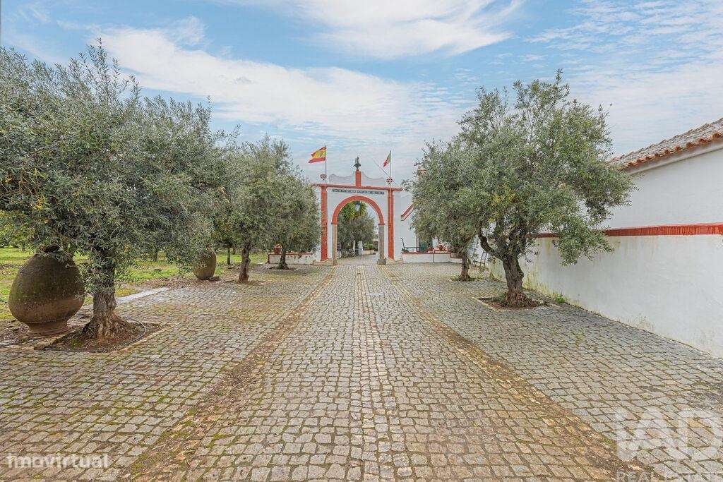 Quinta T6 em São Brás e São Lourenço de 366,00 m2 - Grande imagem: 4/30