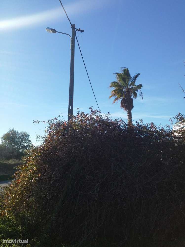 Terreno Rustico C/ 1640M2 Pechão C/ Vista Mar - Grande imagem: 4/5