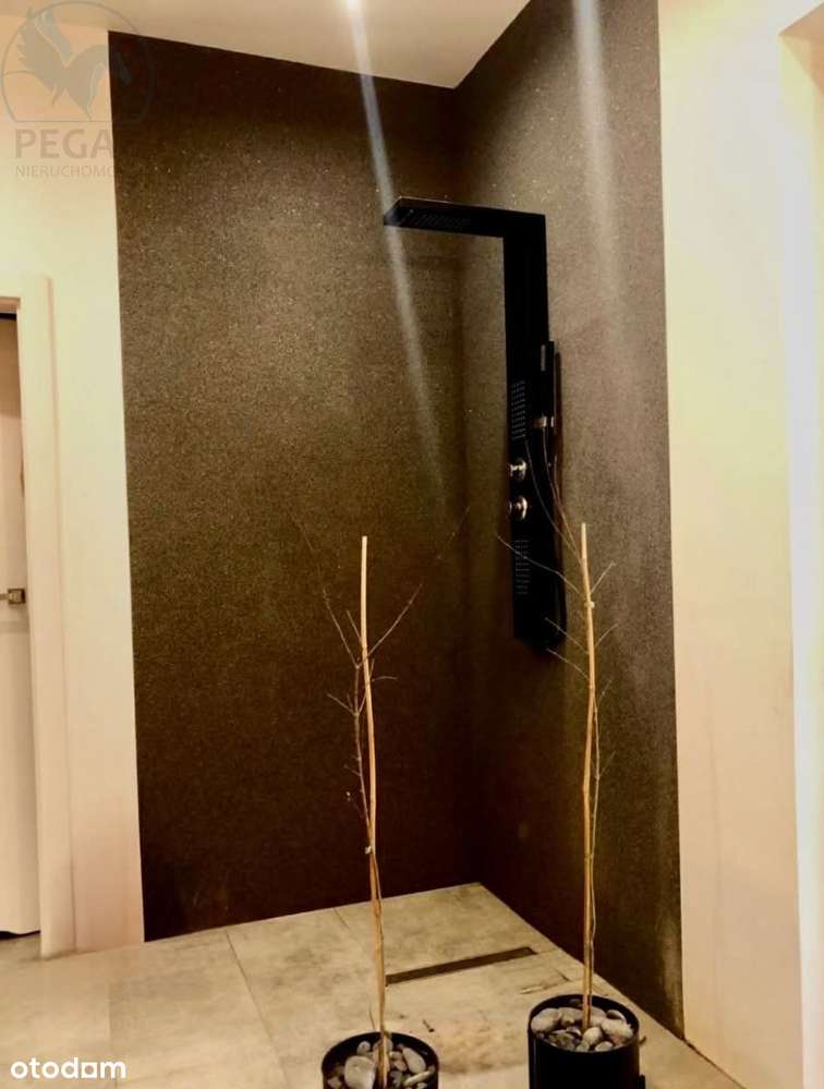 Nowoczesny Dom Wolnostojący na dużej działce !-6