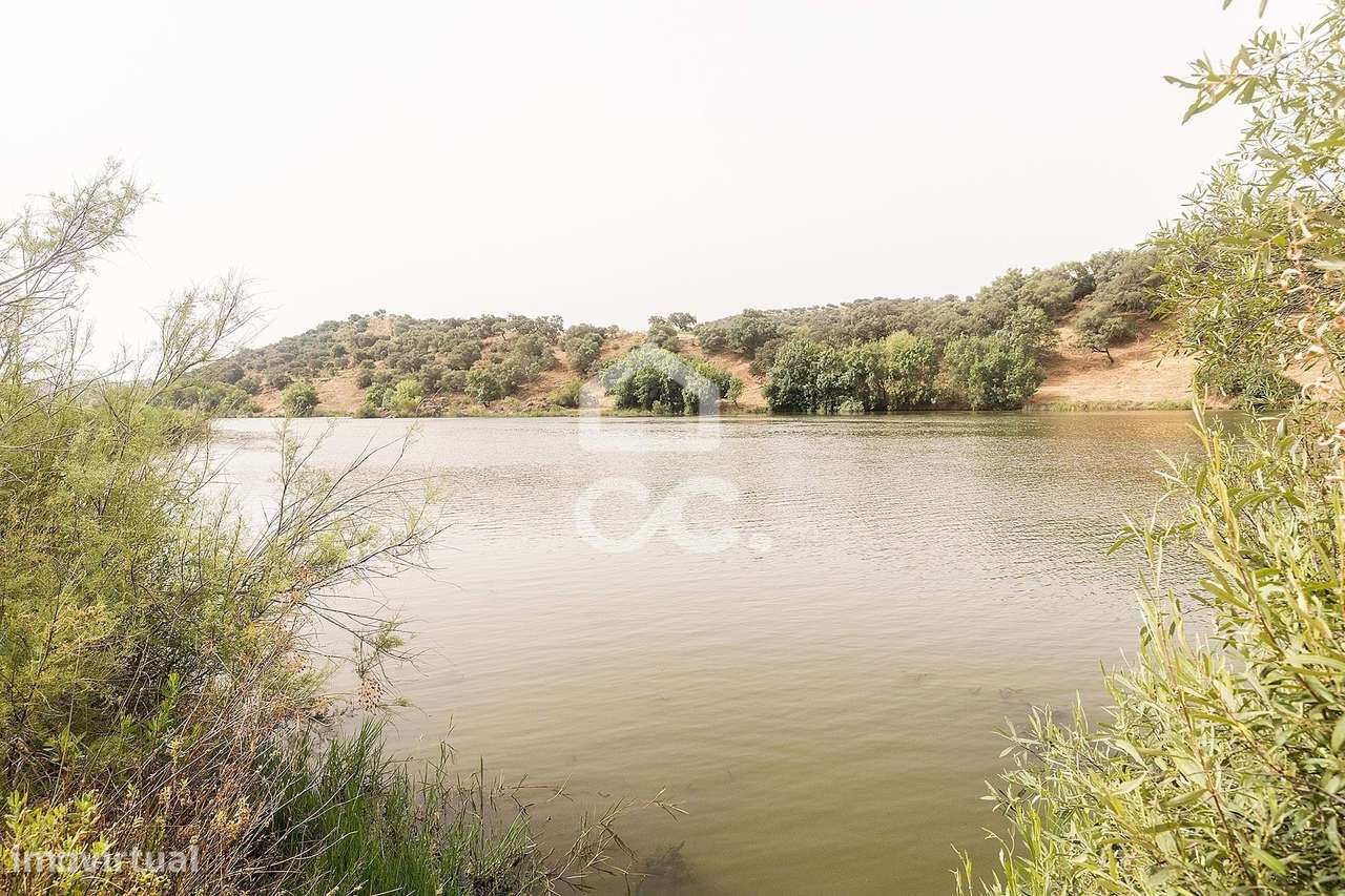 Herdade de 18,7 hectares com monte junto ao Guadiana | Serpa - Grande imagem: 5/60