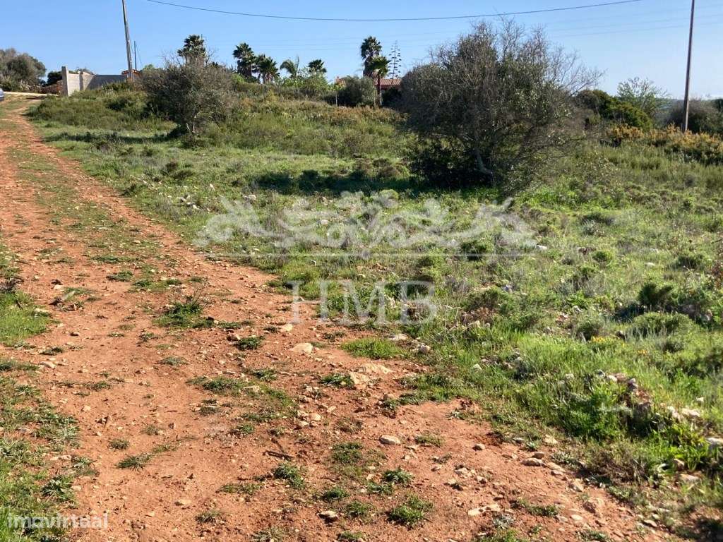 Terreno Rústico com 20701 m2 Próximo à Vila de Mexilhoeira-11