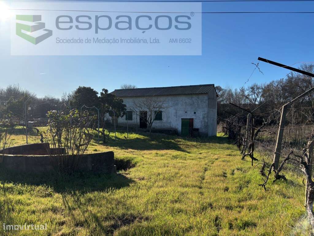 Quintinha a cinco minutos do centro de Castelo Branco - Grande imagem: 2/17