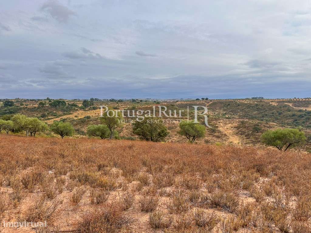 Propriedade Rural composta por 3 parcelas (2 herdades + casa) - Grande imagem: 5/24