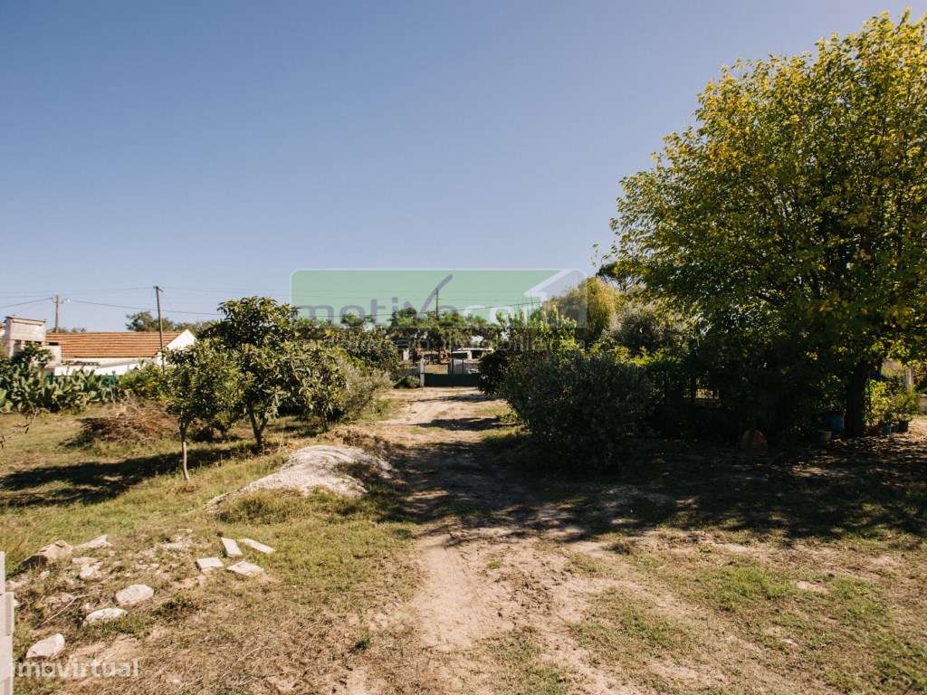 Moradia Térrea T4 em Quinta de 11.250 m² com Árvores de Fruto. Em S...-40