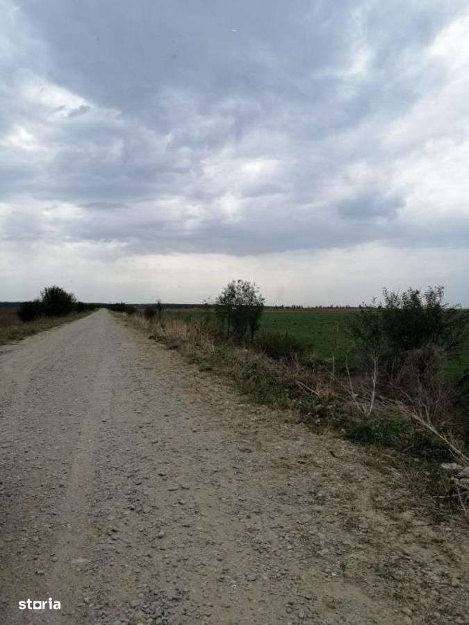 Teren - Imagine principală: 5/5