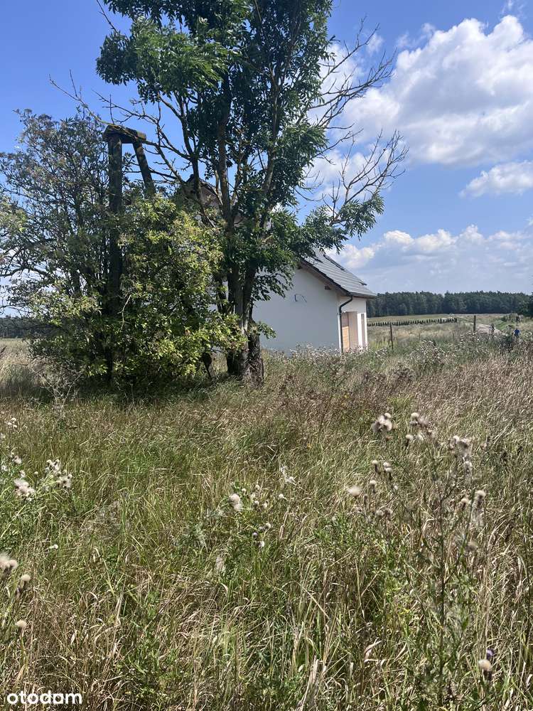 Działka 1606 m² w spokojnej lokalizacji - Pełny obrazek: 5/13