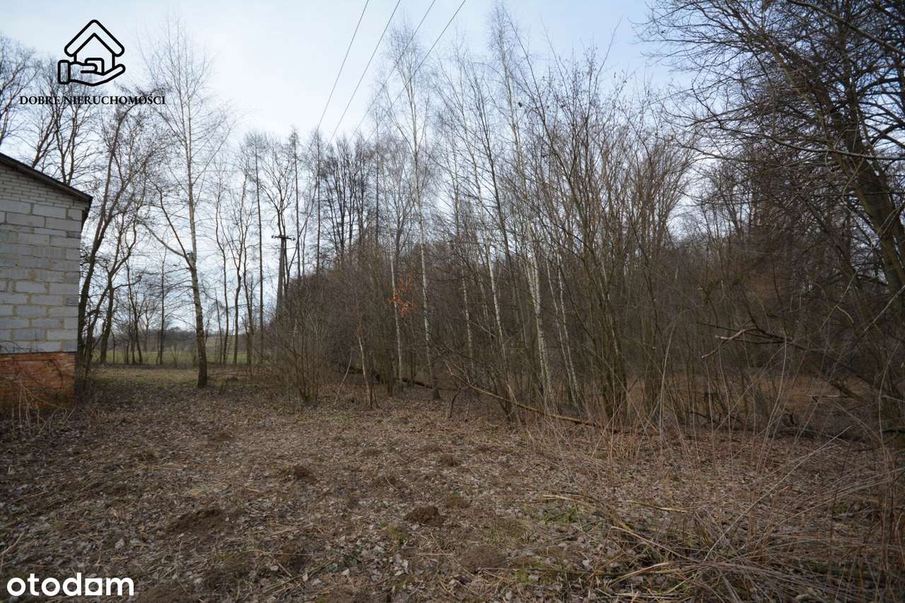 Siedlisko Osowa, 1,5ha, Cicha lokalizacja - Pełny obrazek: 5/5
