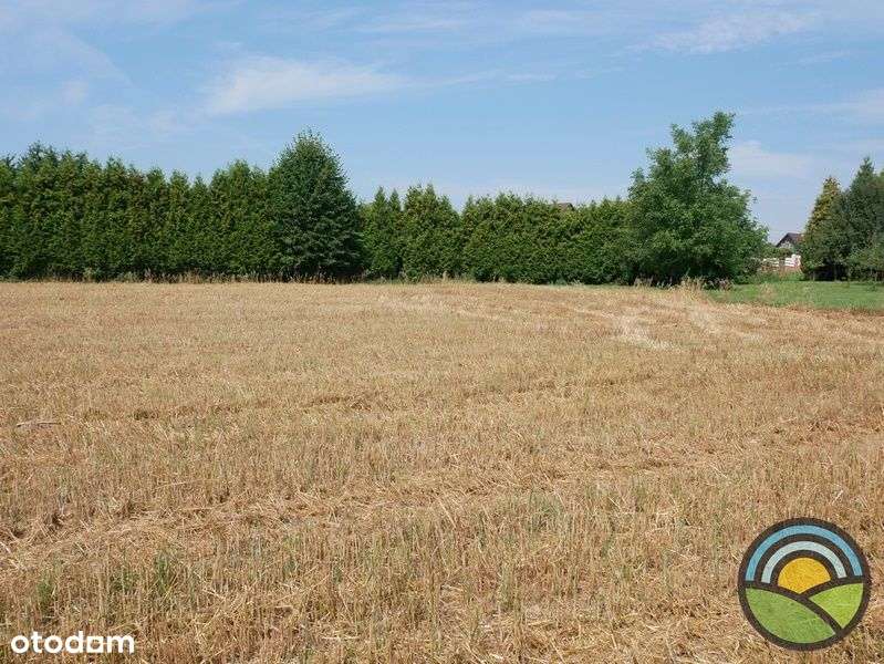 Widokowa 99-arowa działka budowlana dla inwestora! - Pełny obrazek: 4/6