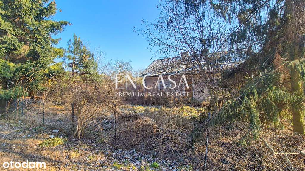 Dom z działką budowlaną 2ha - Pełny obrazek: 4/8