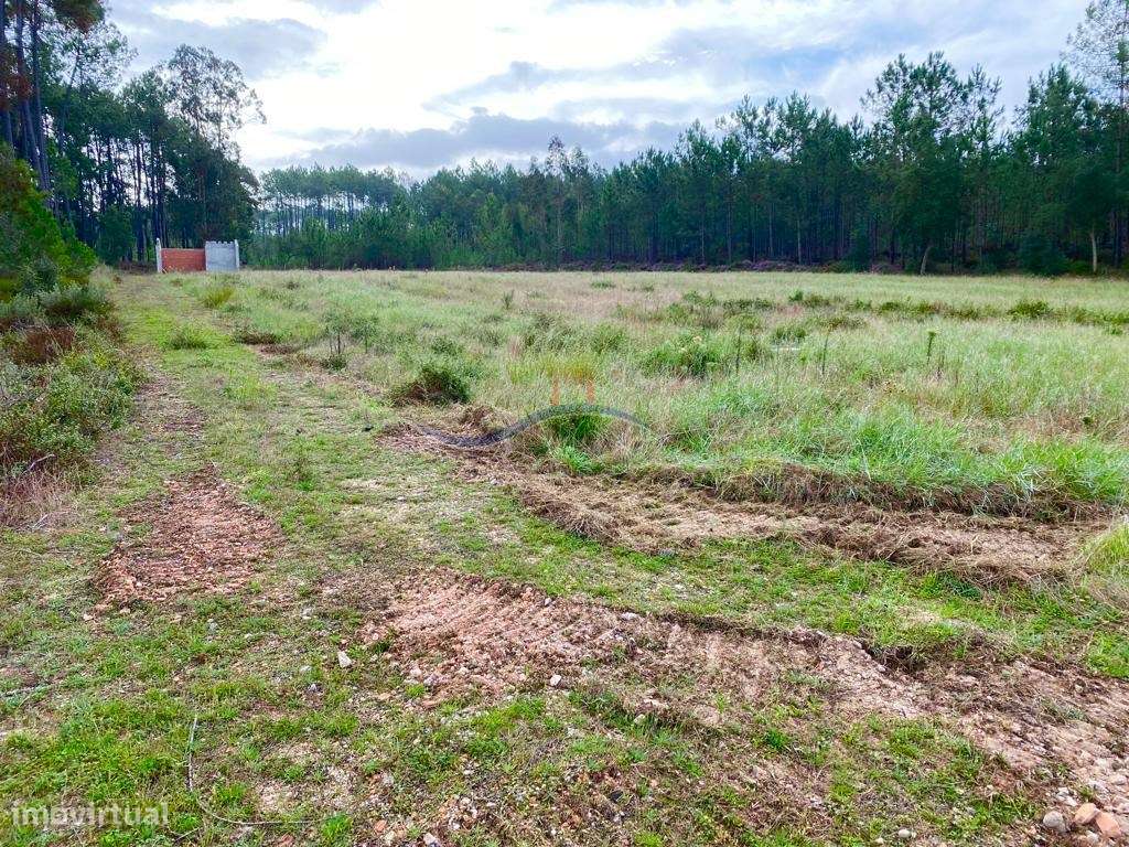 Terreno Florestal - Monte Redondo - Grande imagem: 2/18