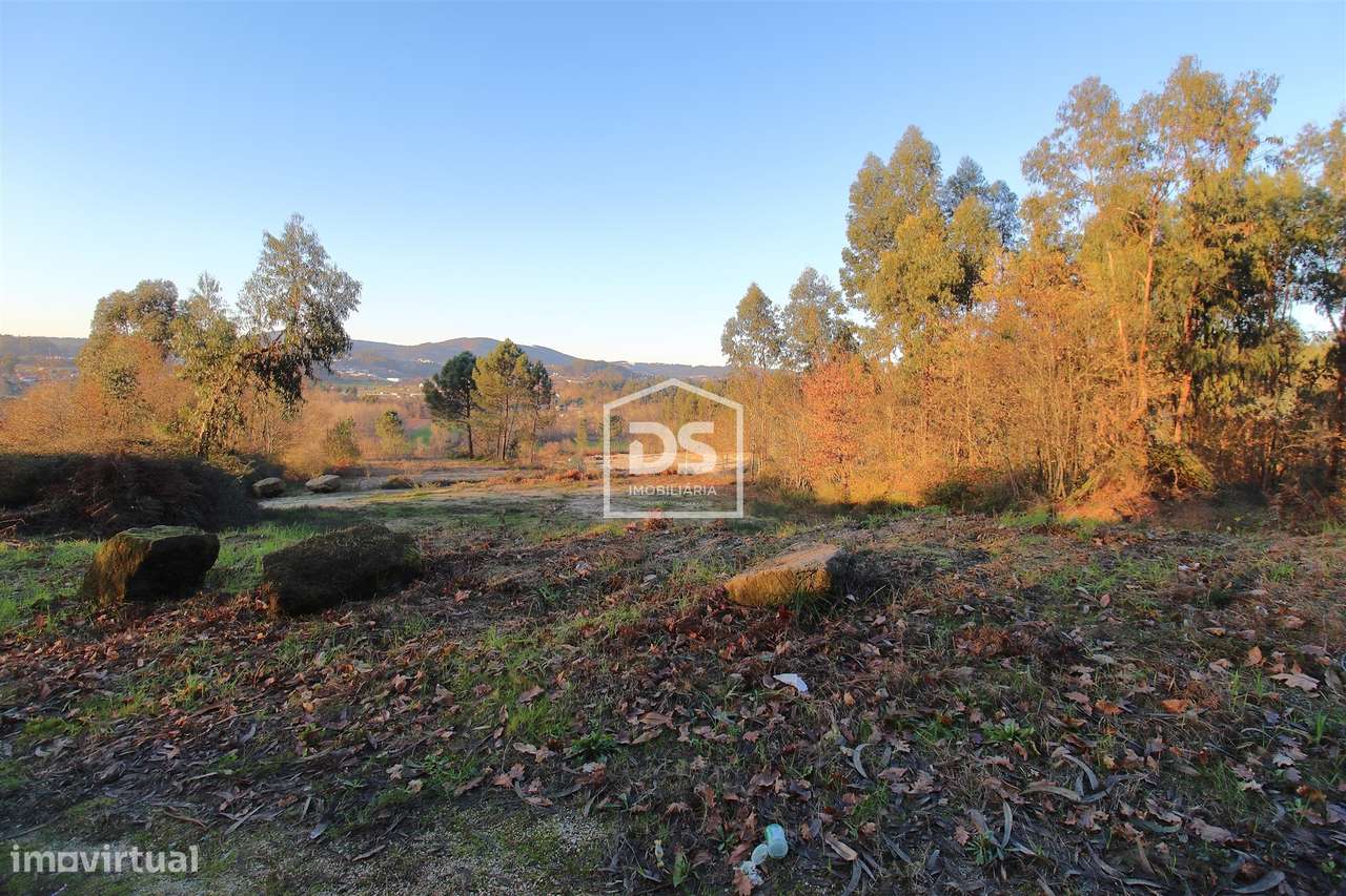 Terreno  Venda em Aveleda,Lousada - Grande imagem: 4/11
