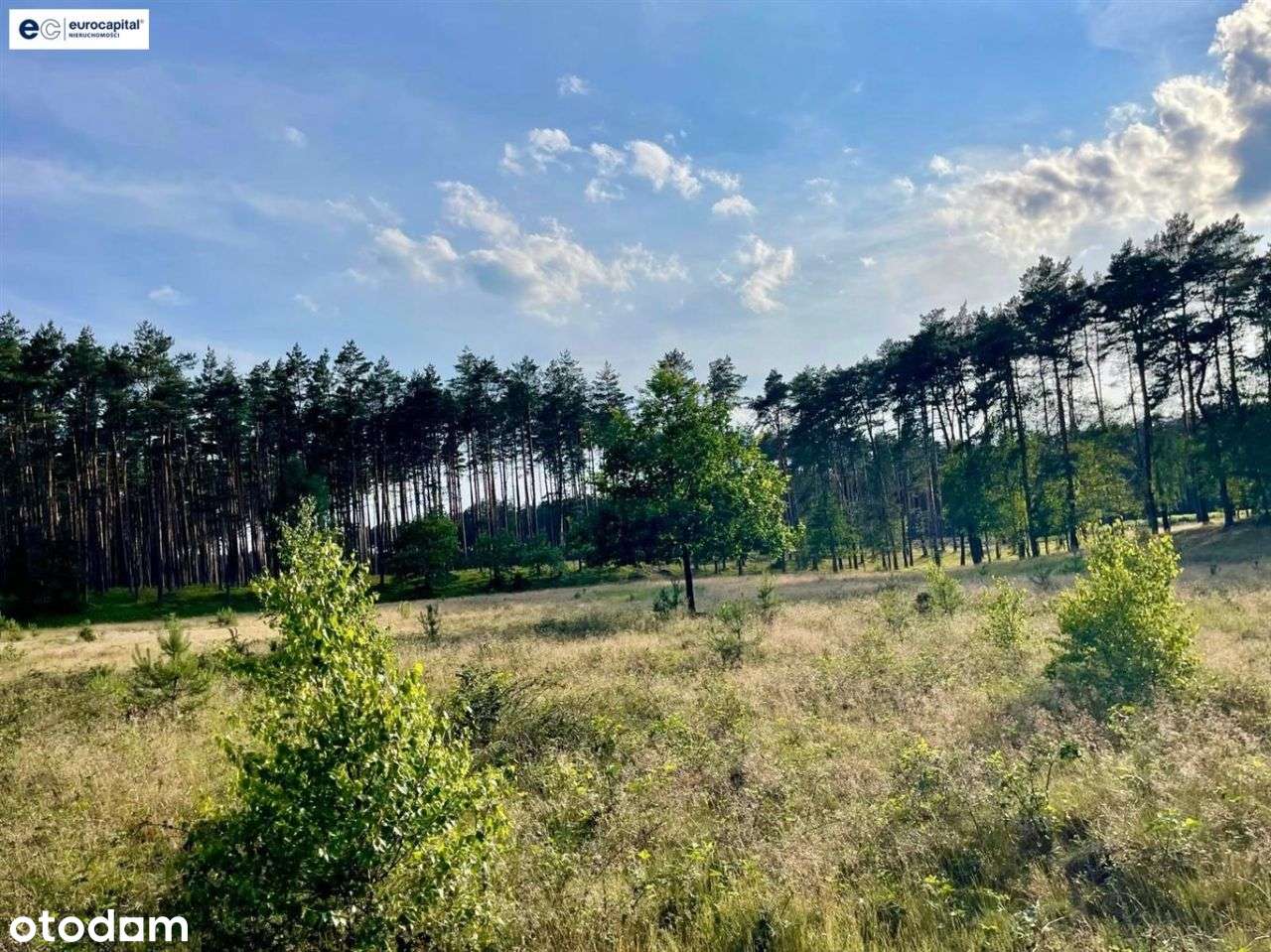 Olbrzymia Działka W Lesie Z Prawem Zabudowy!-11