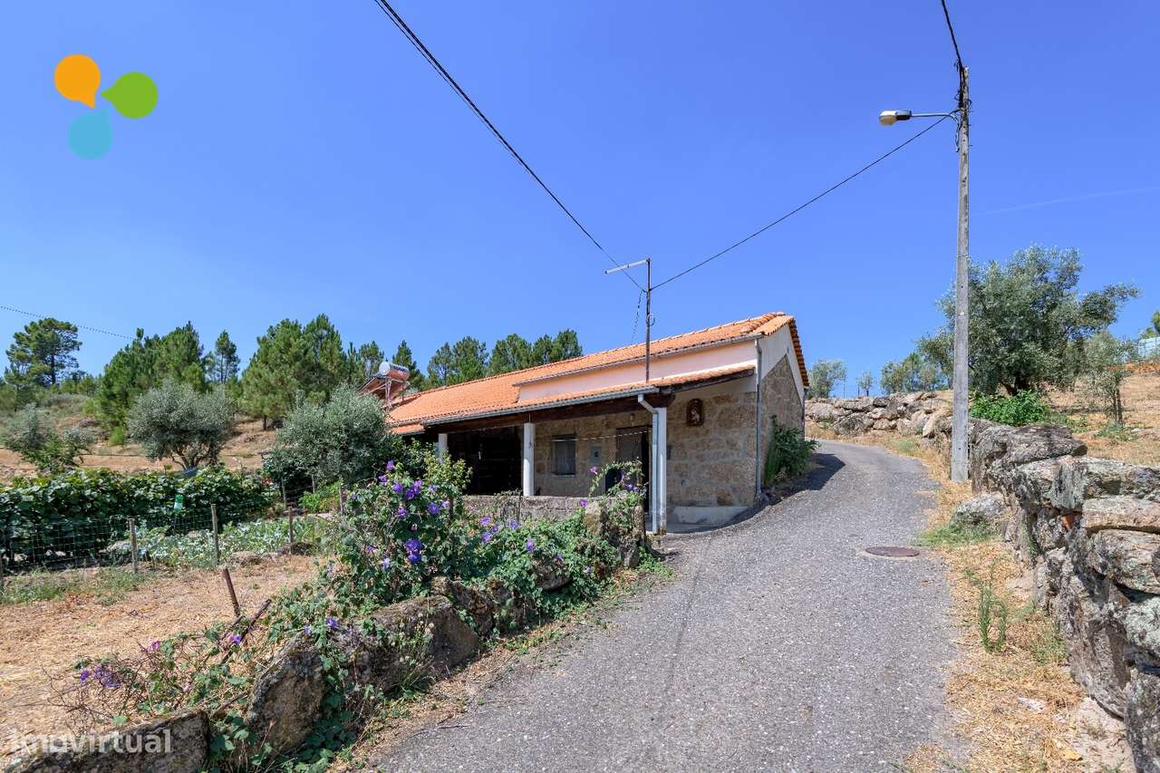 Quintinha com moradia geminada para remodelar – Borralheira, Teixoso - Grande imagem: 1/28