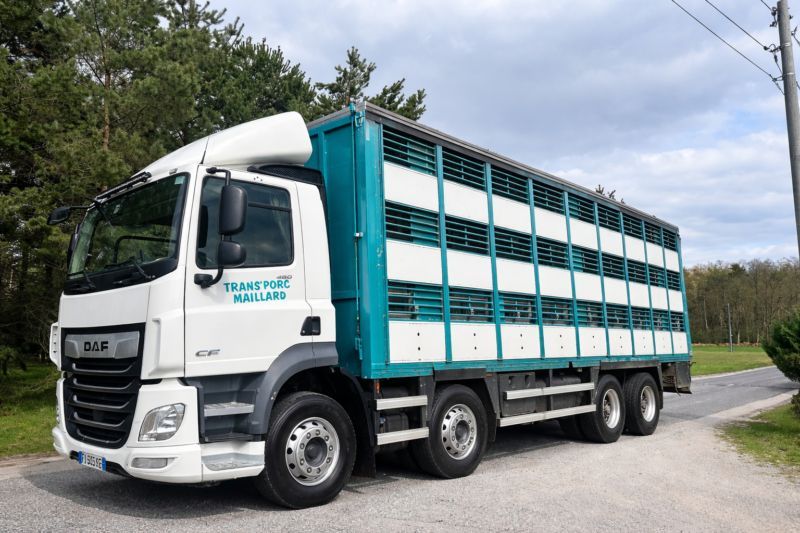 DAF CF 2021