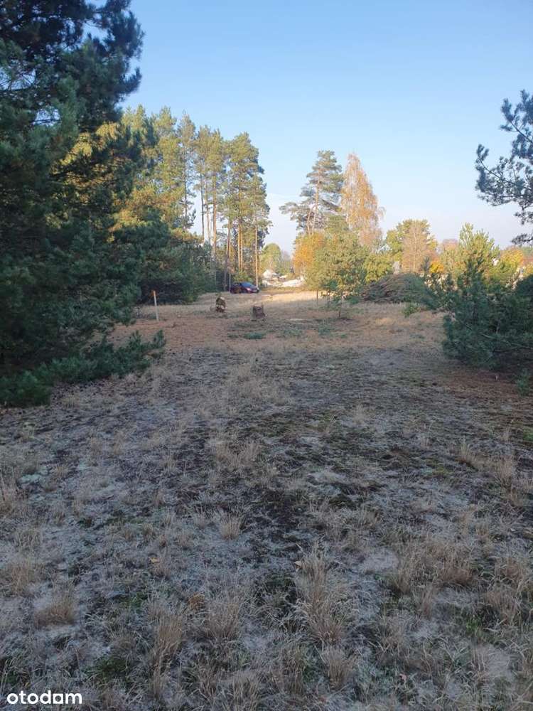 Działki budowlane koło lasu cicha miejscowość - Pełny obrazek: 4/13