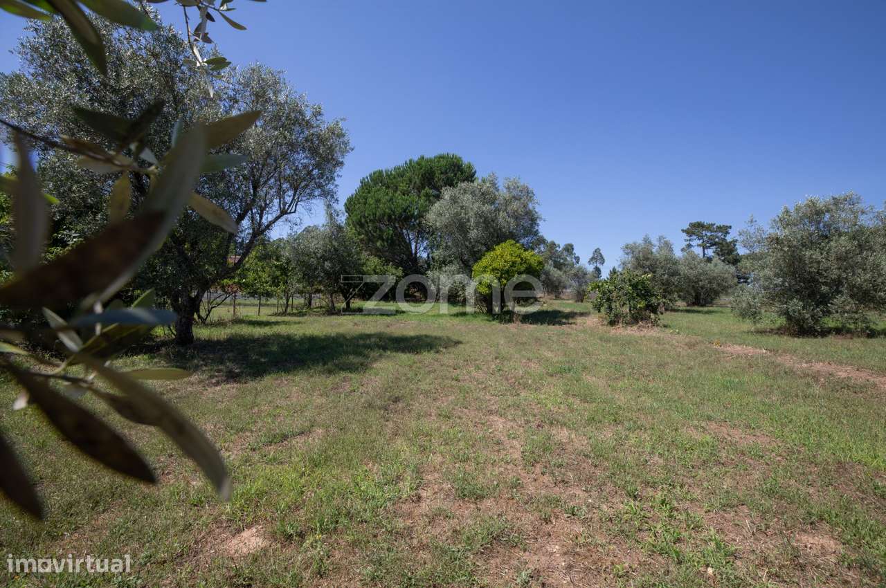 Terreno São Facundo - Coimbra - Grande imagem: 5/17