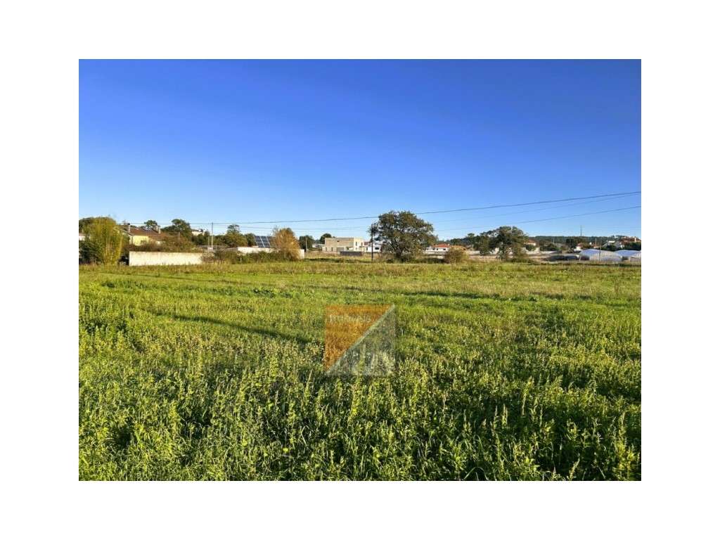 Terreno para Construção com 4.559 m² - Aldeia da Lagoa, Leiria (Zon...-11