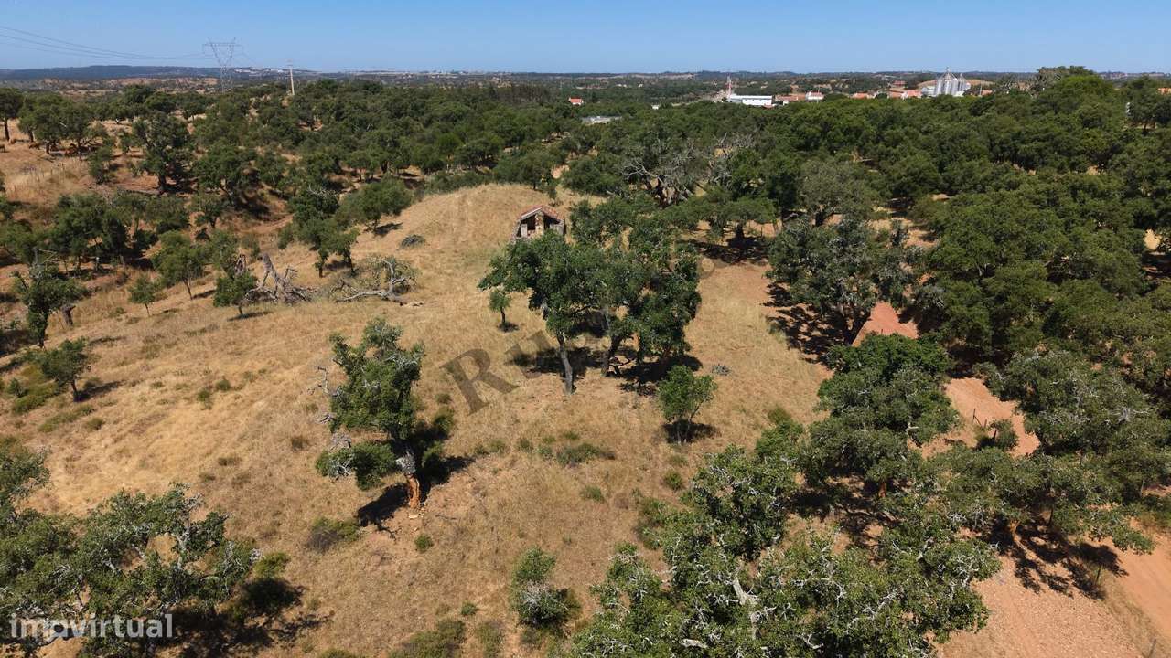 Monte Alentejano com propriedade de 13 HA-14