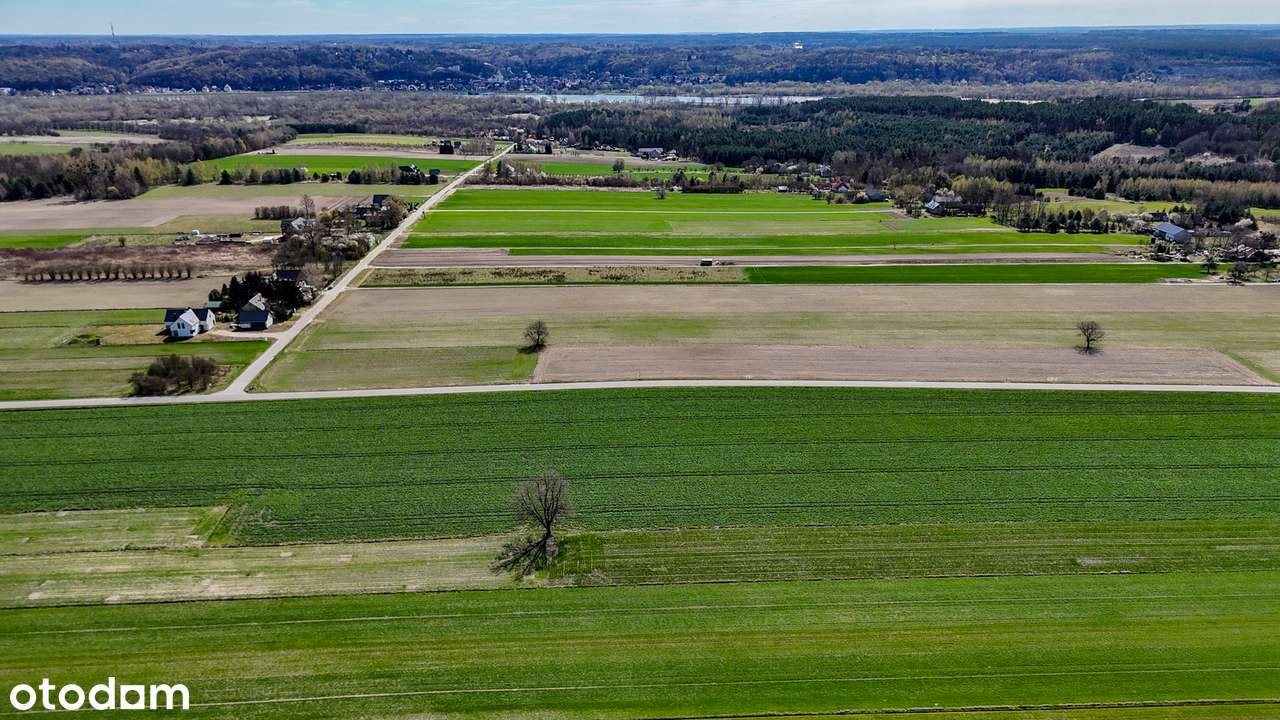 Działka budowlana z widokiem na Kazimierz Dolny - Pełny obrazek: 4/9
