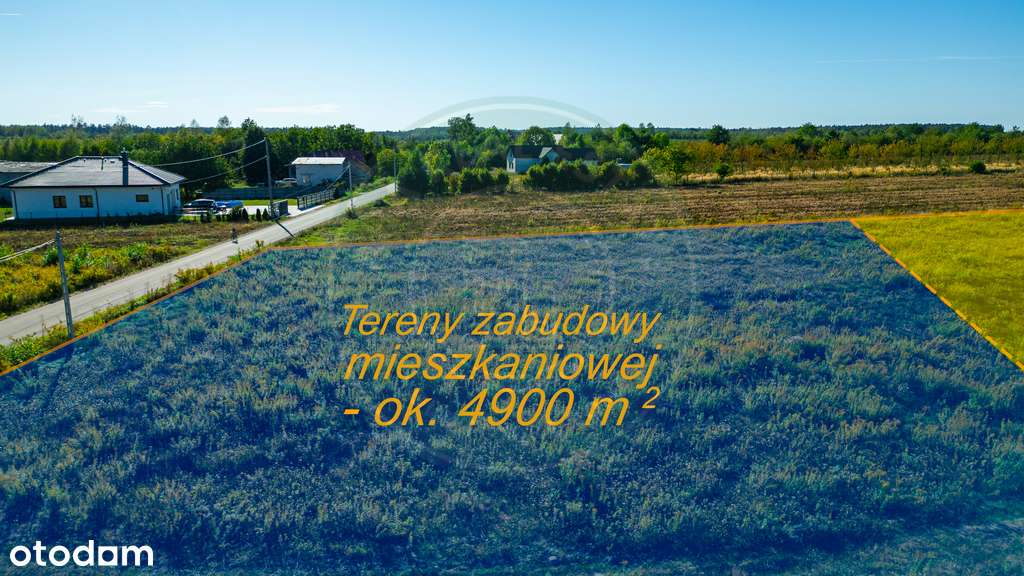 13/15968/OGS - Pełny obrazek: 5/14