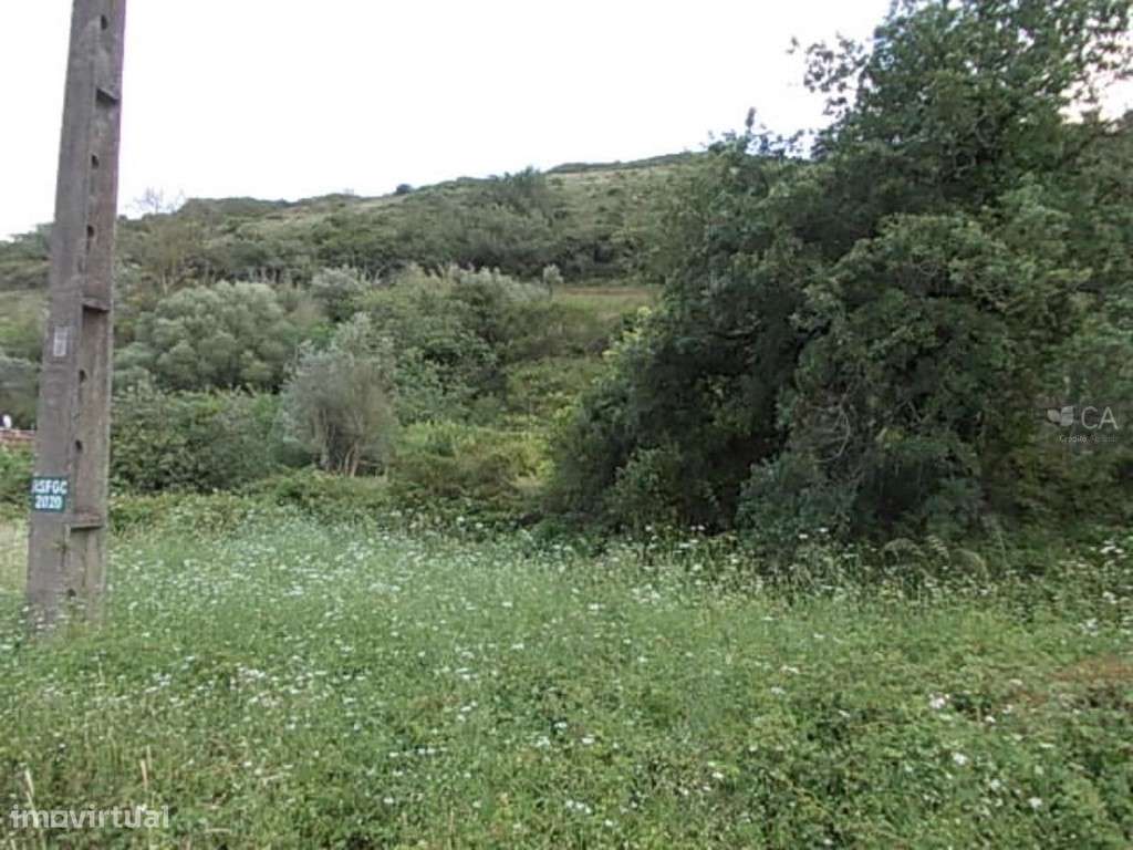 Terreno Rústico - Grande imagem: 4/4