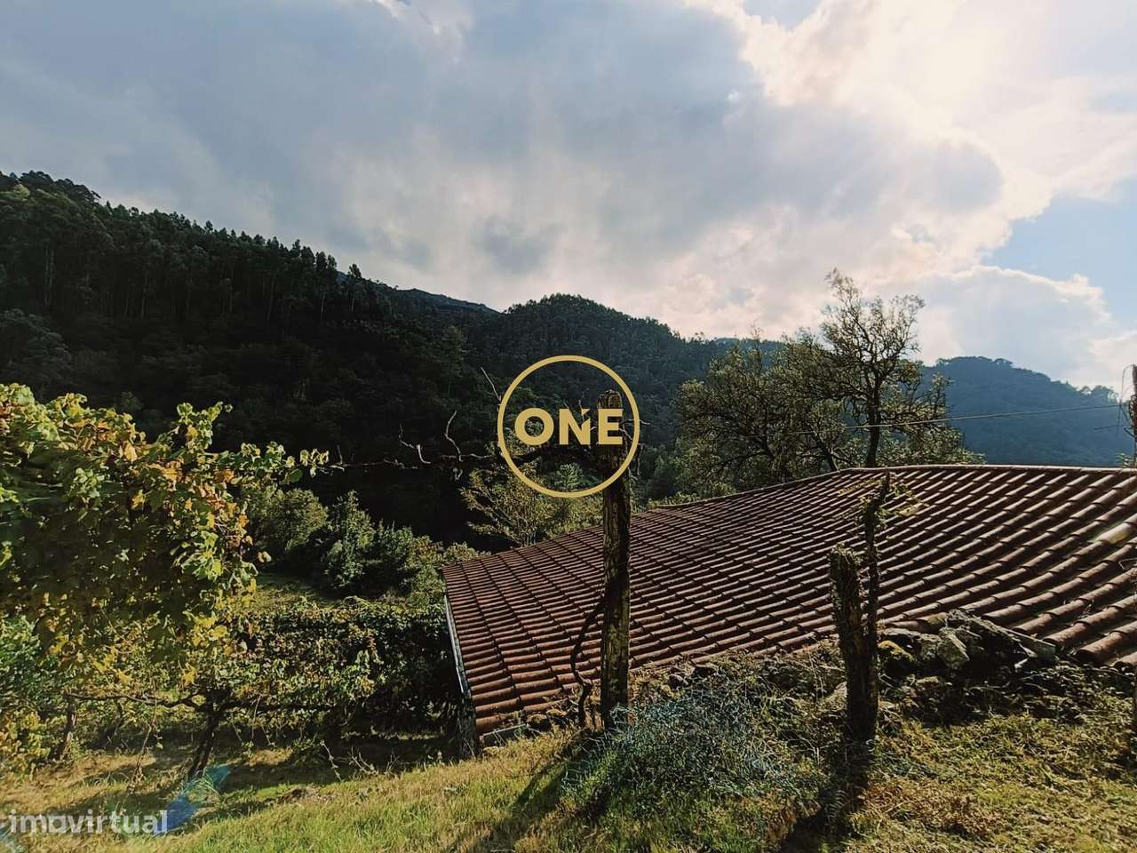 Terreno com Aprox: 10.000m2 - Grande imagem: 4/29