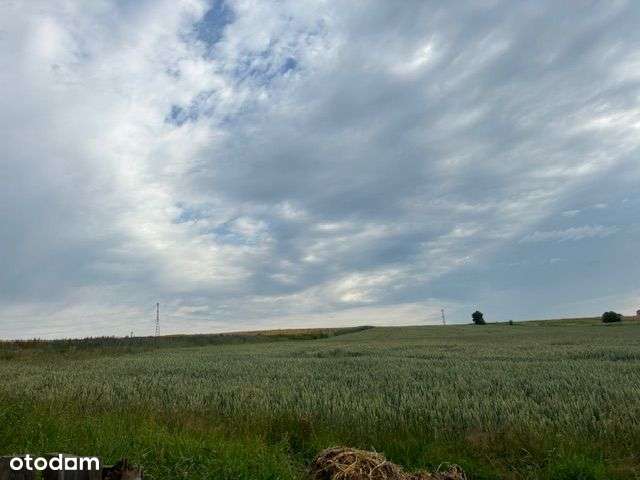 Sprzedam działkę budowlaną w Pisarzowicach - Pełny obrazek: 5/9