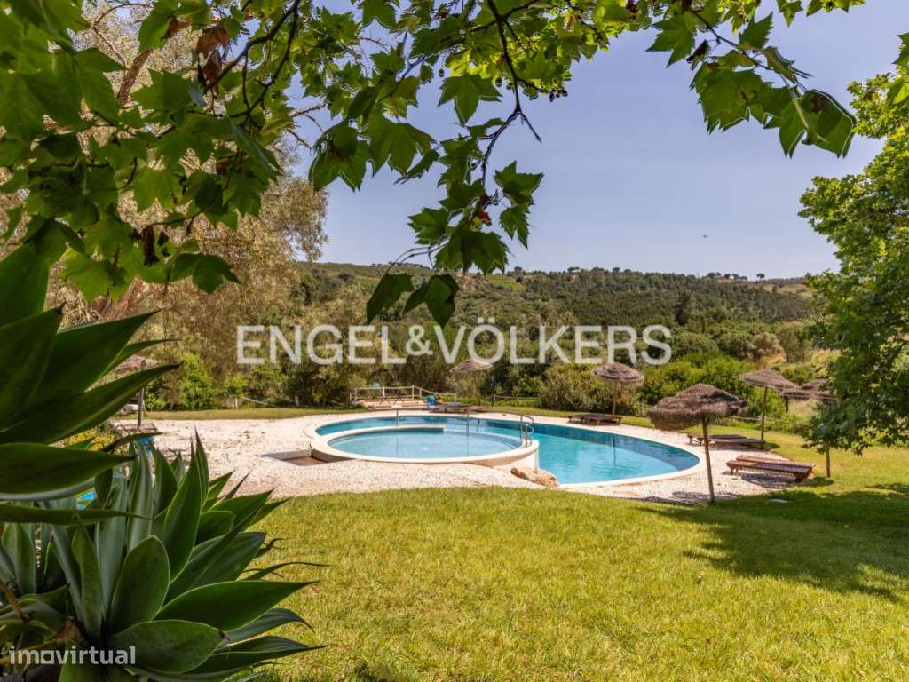 Quinta inserida no Parque da Serra da Arrábida, Habitação e Oportun... - Grande imagem: 4/41