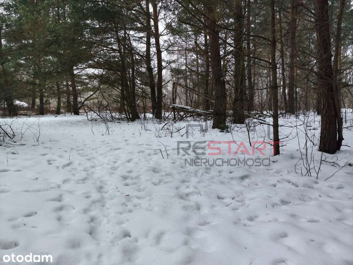 Działka rekreacyjna na mały domek-1