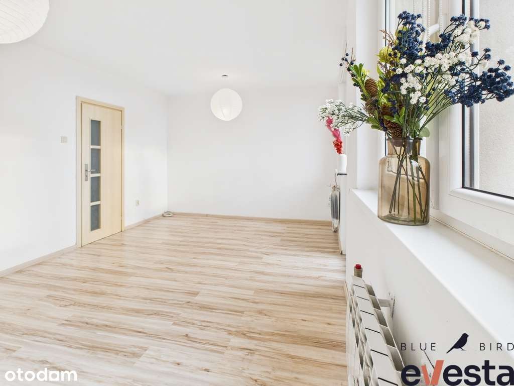 mieszkanie 4 pok./Strzelin/przy Rynku - Pełny obrazek: 2/16