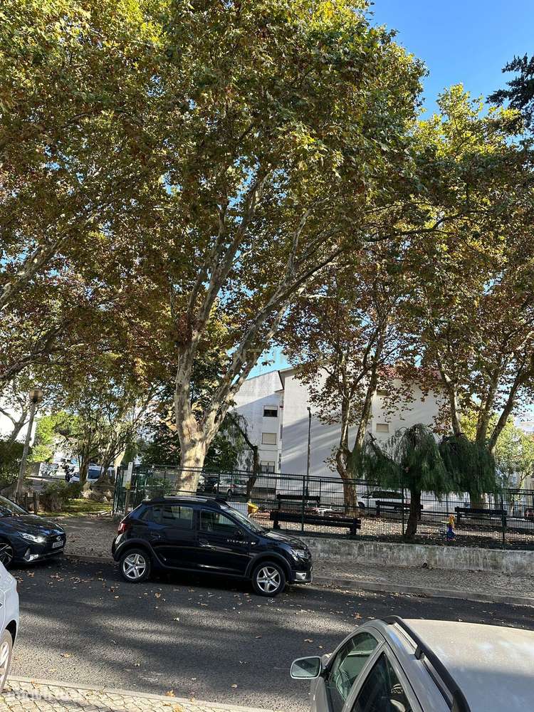 TI Mobilado para Arrendamento em Cascais - Grande imagem: 5/26